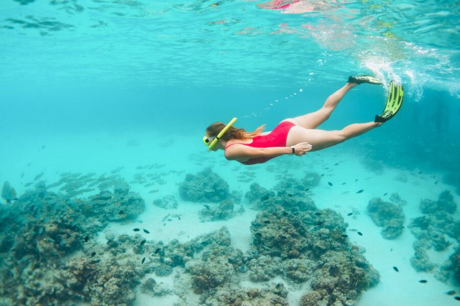 West Oahu: Turtles, Dolphins, and Snorkeling Tour with Lunch - Lunch and the onboard bar