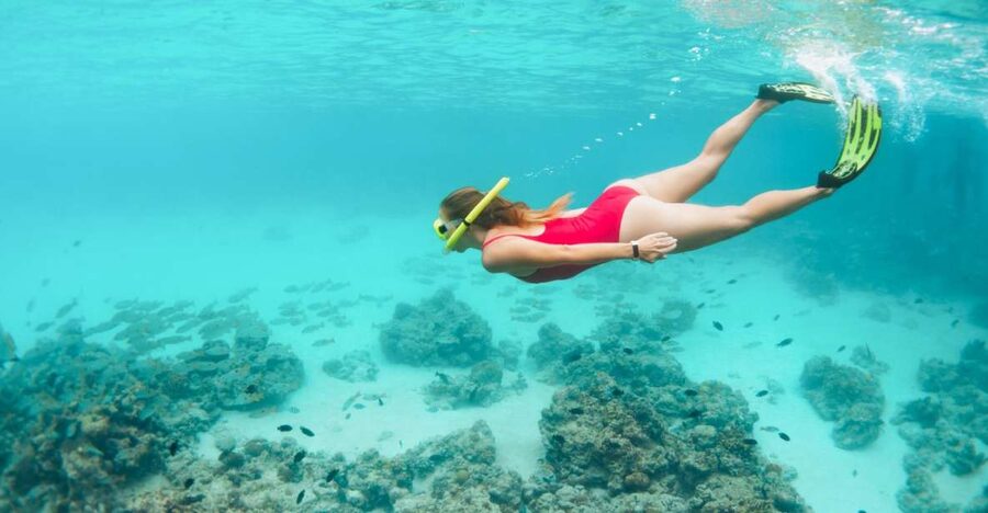 West Oahu: Turtles, Dolphins, and Snorkeling Tour with Lunch - Cruising the West O‘ahu coast