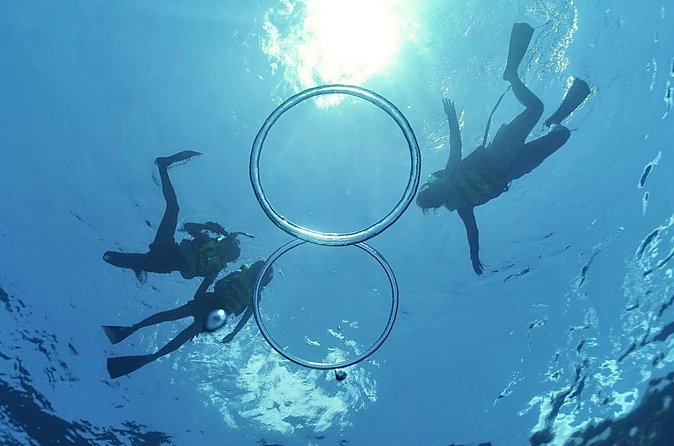 Whale & Dolphin Watching, Turtle Snorkeling - Who Will Enjoy This Most
