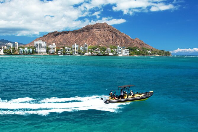 Whale Watching Adventure -Speed Boat & Small Group - Why this small boat changes the whale-watching experience