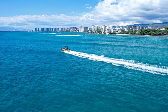 Whale Watching Adventure -Speed Boat & Small Group - Snacks, drinks, and what to bring