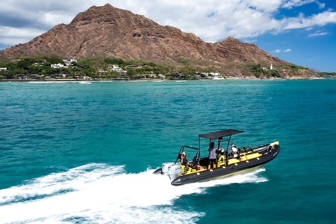 Whale Watching Adventure -Speed Boat & Small Group - Is $105 a fair price?