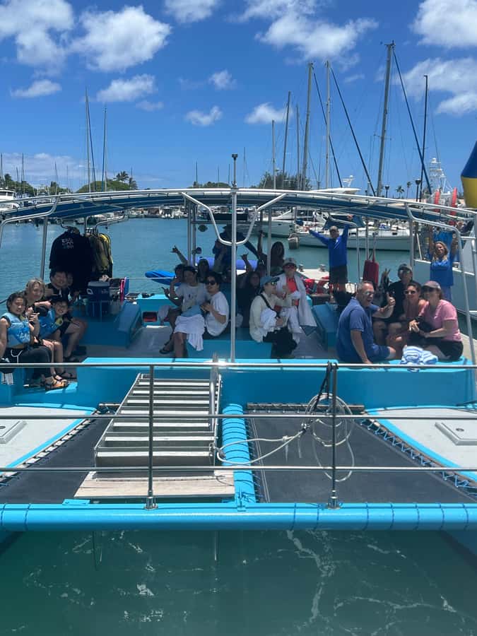 Whale Watching Cruise in Waikiki Oahu - SEE THE HUMPBACKS! - How much value do you get for $80?