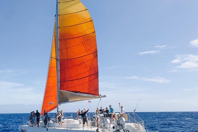 Whale Watching Sail in Honolulu with Open Bar - Why this Honolulu sail is worth considering at $49